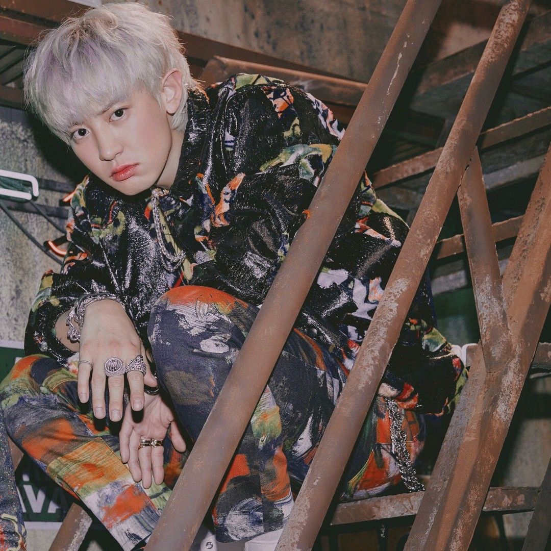 찬열 (EXO)의 최신 사진