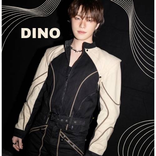 ディノ (SEVENTEEN)ファンが撮った瞬間