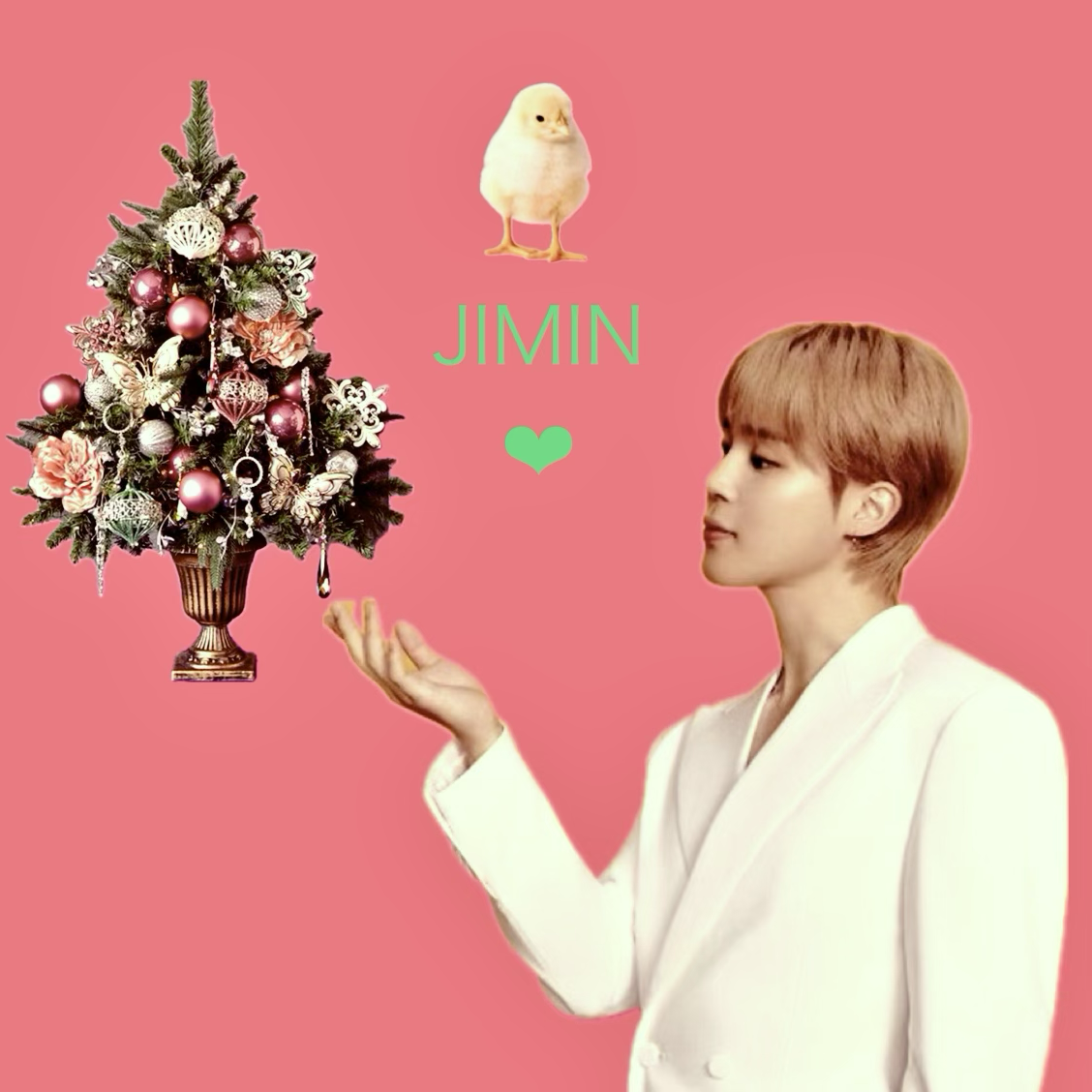 지민 (방탄소년단)의 비하인드 컷