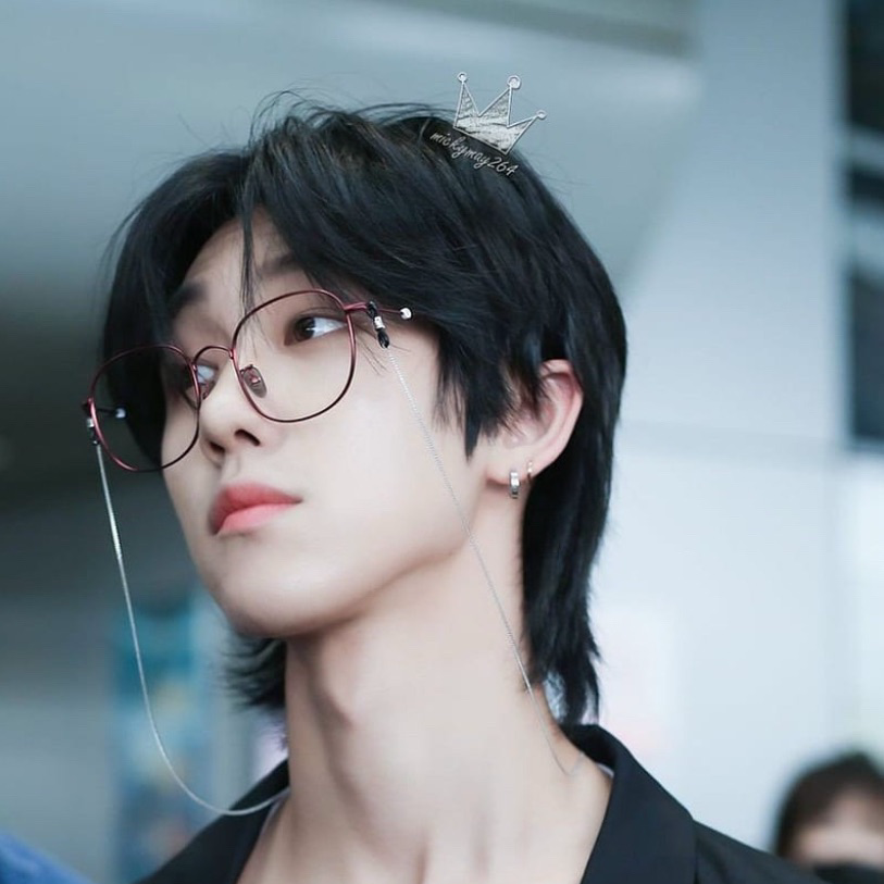 세븐틴 팬이 찍은 순간