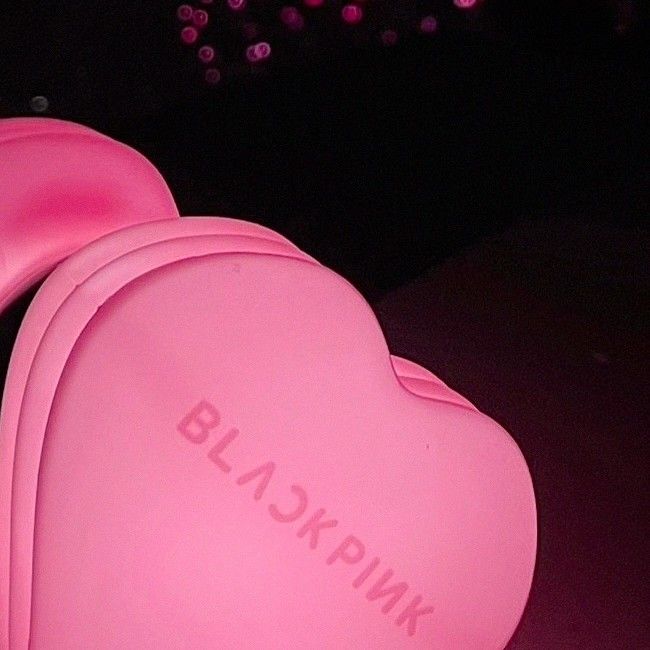 A moment captured by BLACKPINK's fan