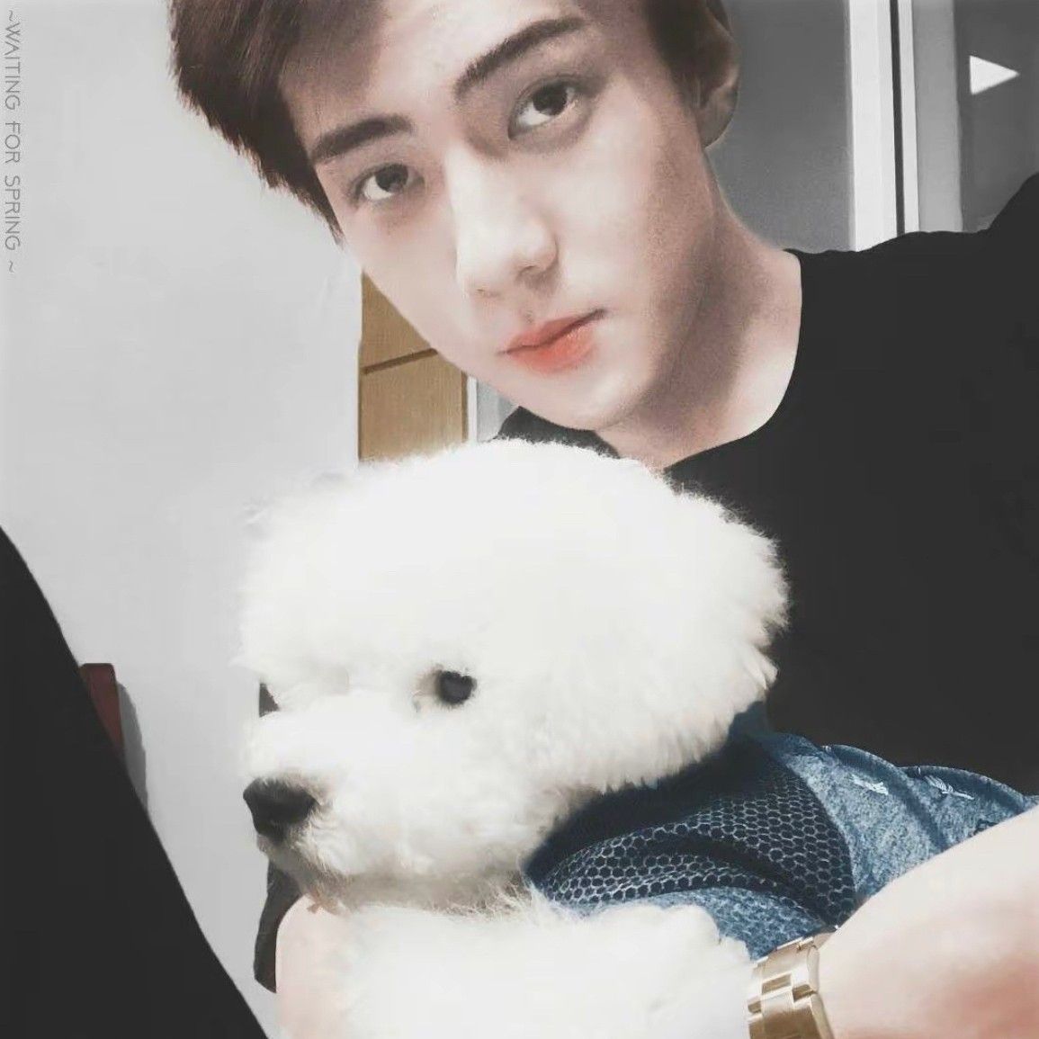 Latest photo of Sehun (EXO)