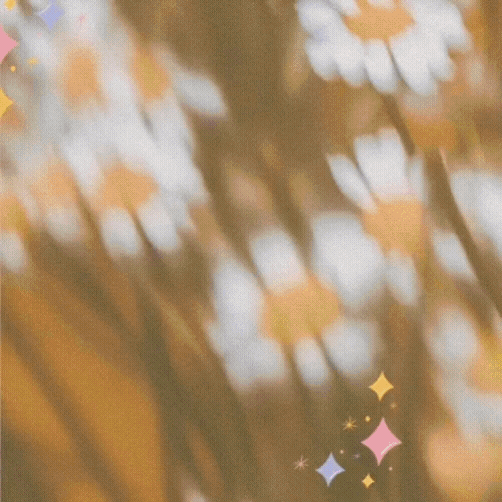 뷔 (방탄소년단) 팬이 찍은 순간