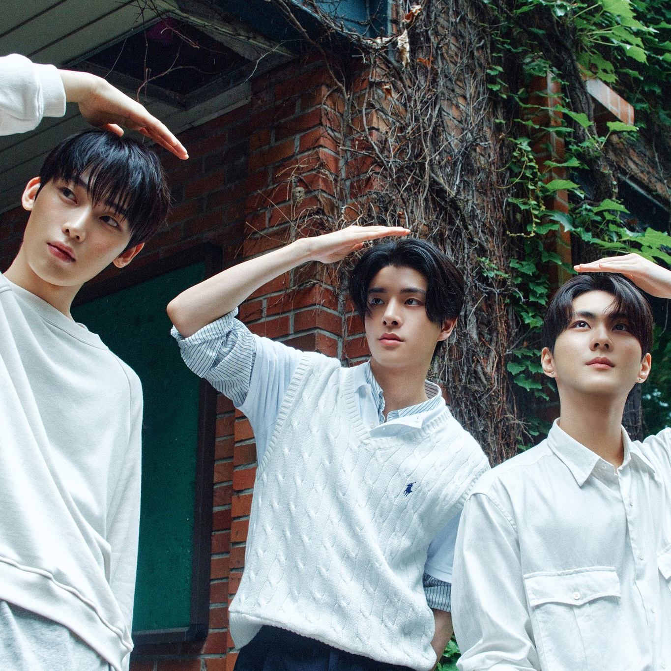 ENHYPEN 팬이 찍은 순간