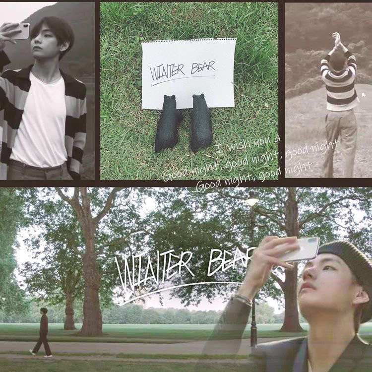 V (BTS)ファンが撮った瞬間