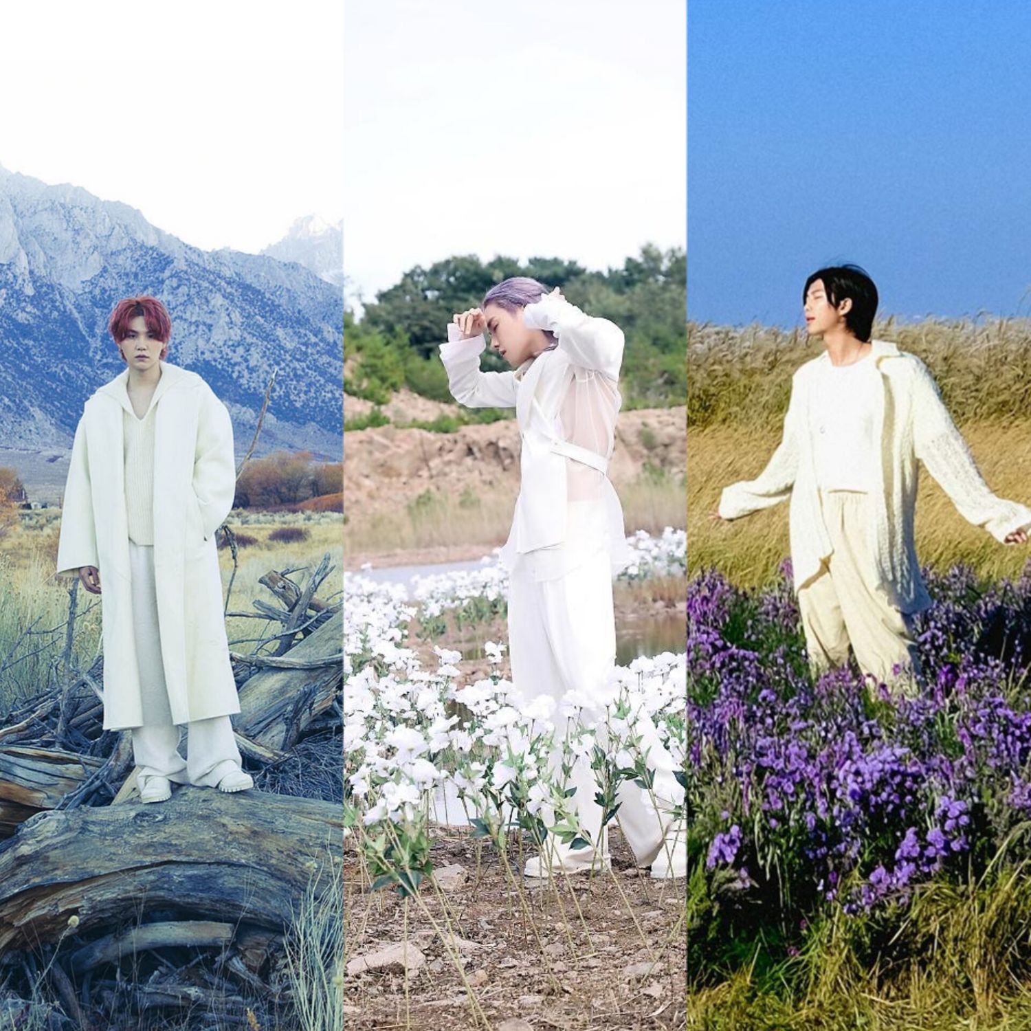 Recent activity shot of SUGA (BTS)