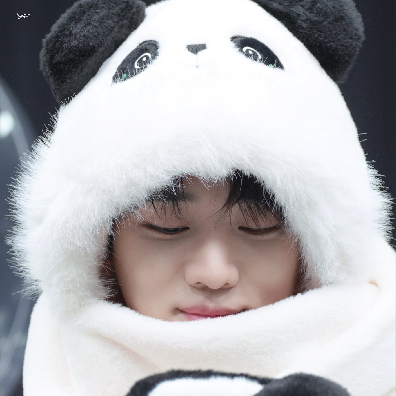 재찬 (DKZ) 팬이 찍은 순간