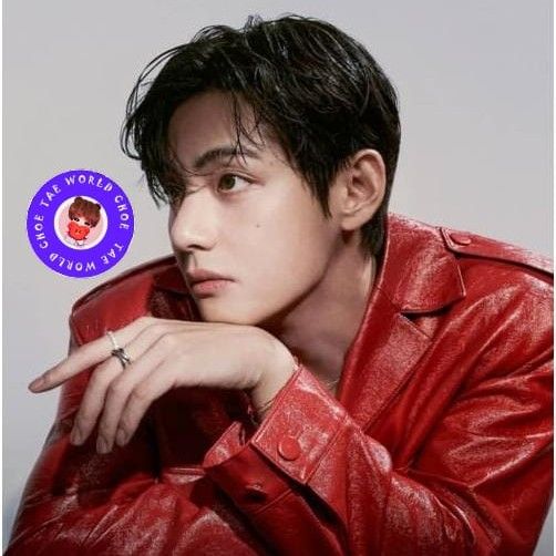 Behind-the-scenes cut of V (BTS)