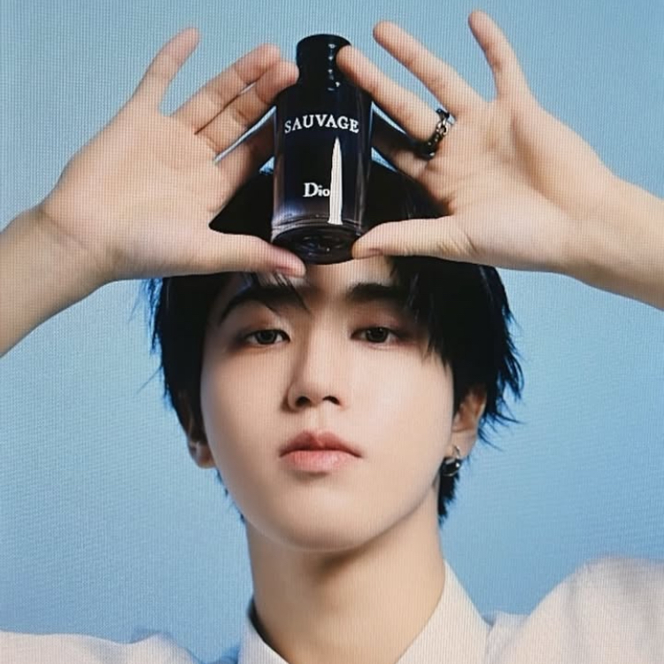 A moment captured by HAN (Stray Kids)'s fan