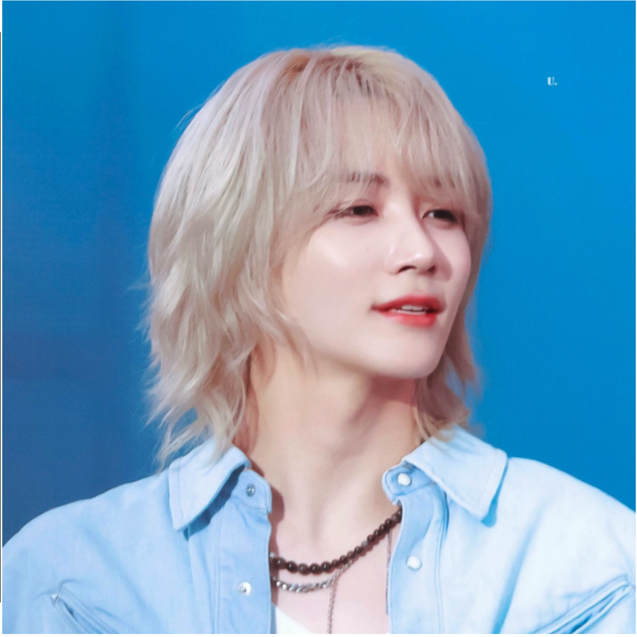 정한 (세븐틴) 팬이 찍은 순간