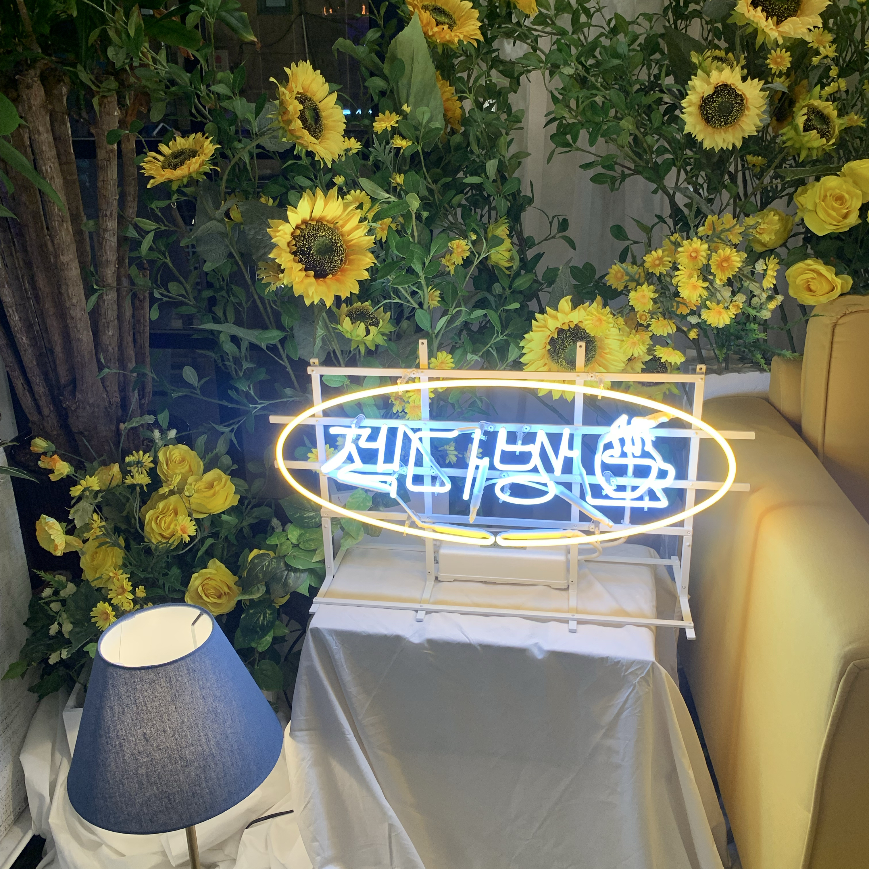 Latest photo of SECHSKIES