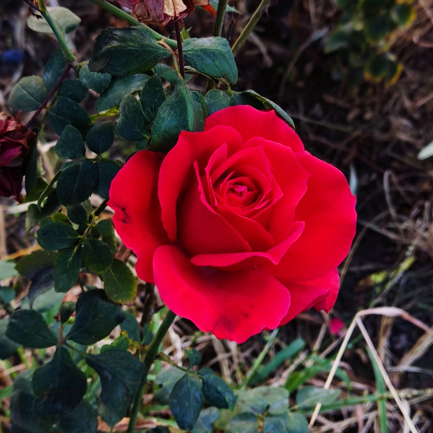 Latest photo of Baekhyun (EXO)