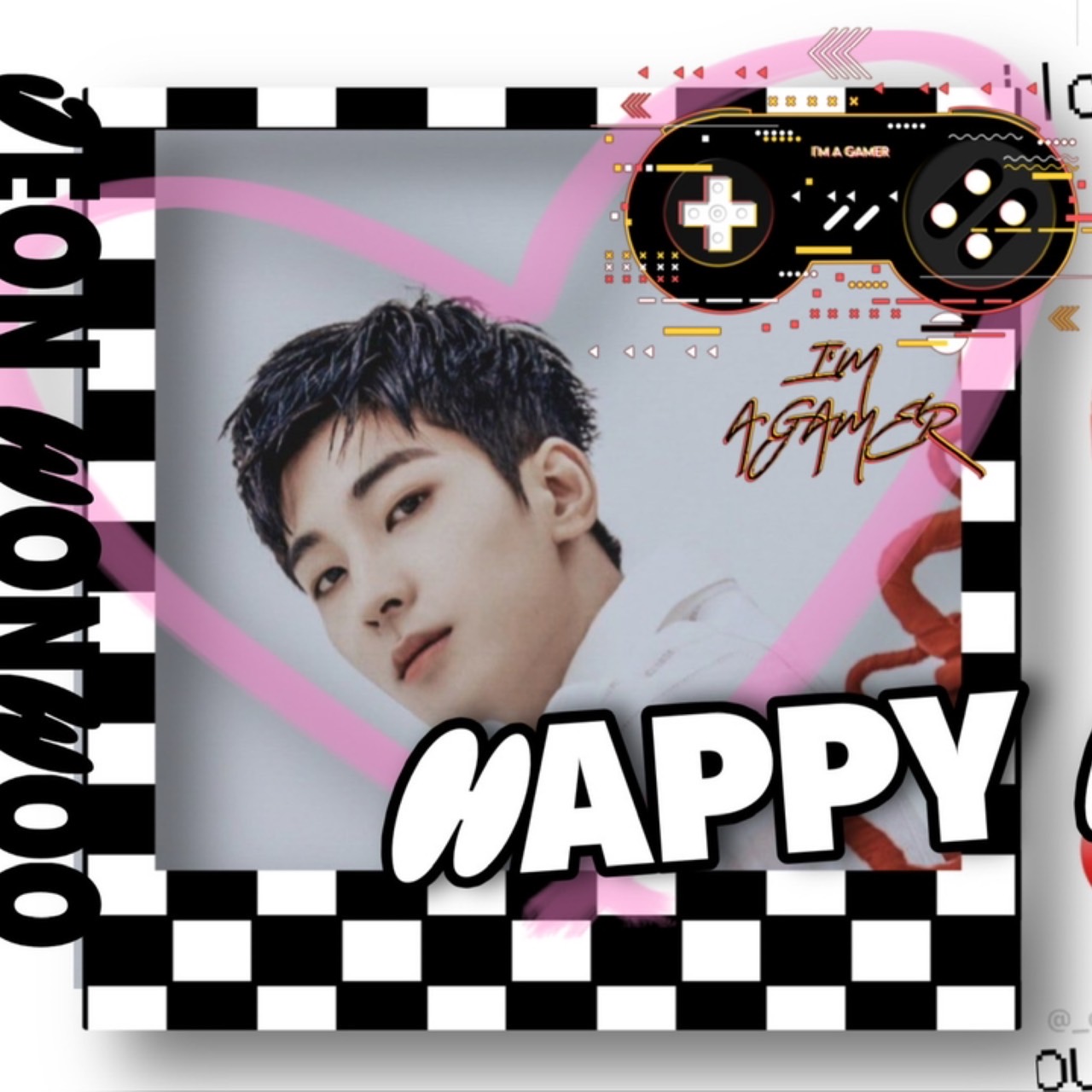 원우 (세븐틴) 팬이 찍은 순간