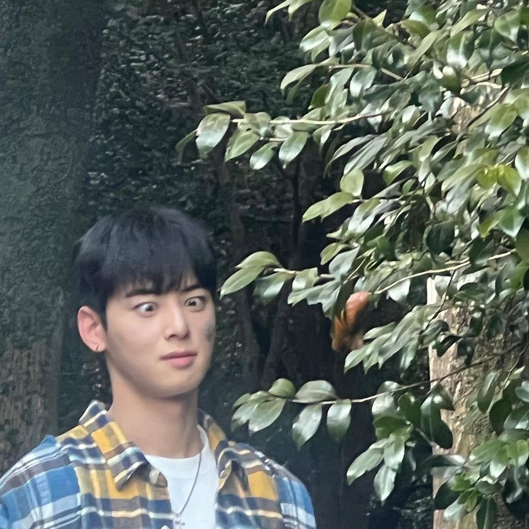 아스트로 팬이 찍은 순간