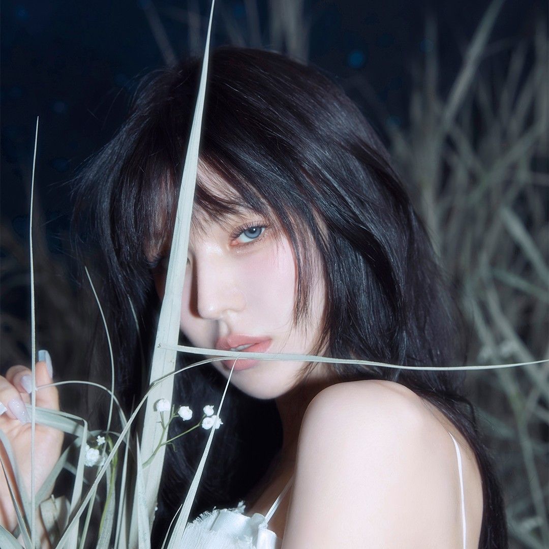 Latest photo of Wendy (Red Velvet)