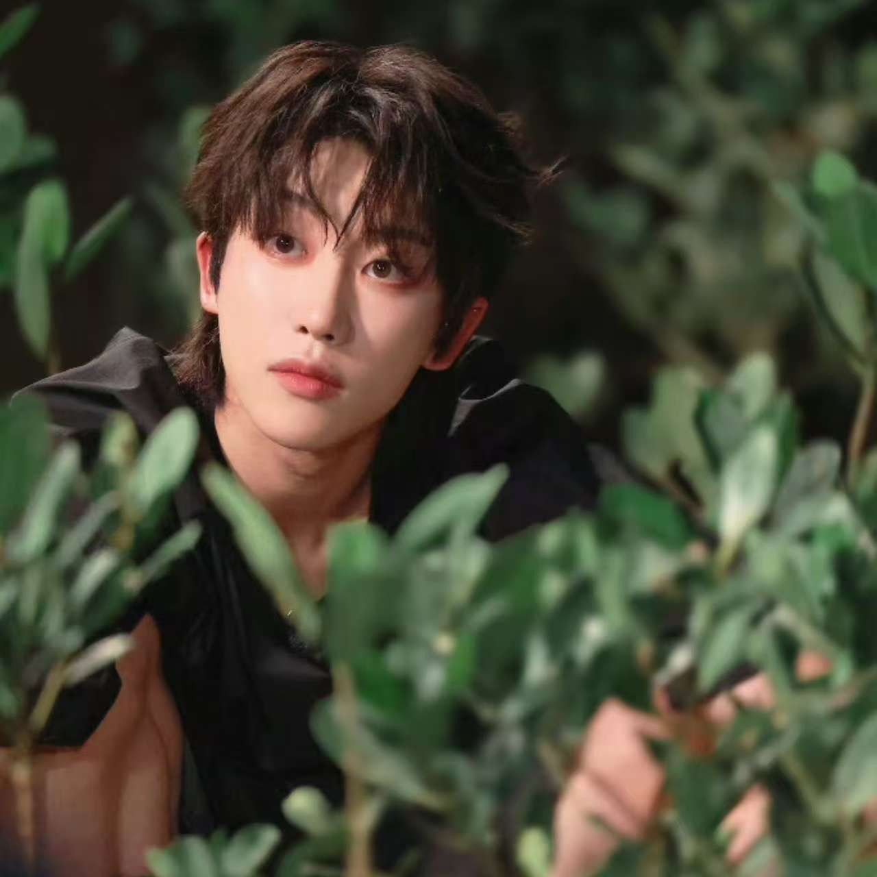 A moment captured by The 8 (SEVENTEEN)'s fan