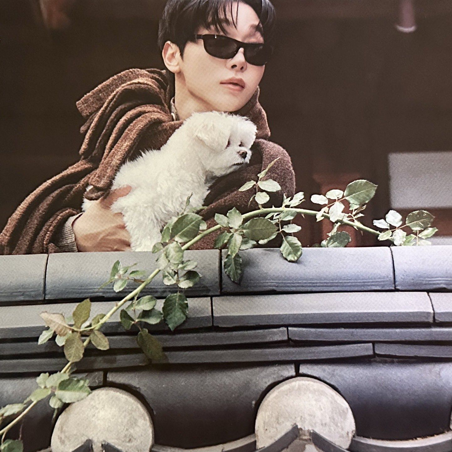 Recent activity shot of Seungkwan (SEVENTEEN)