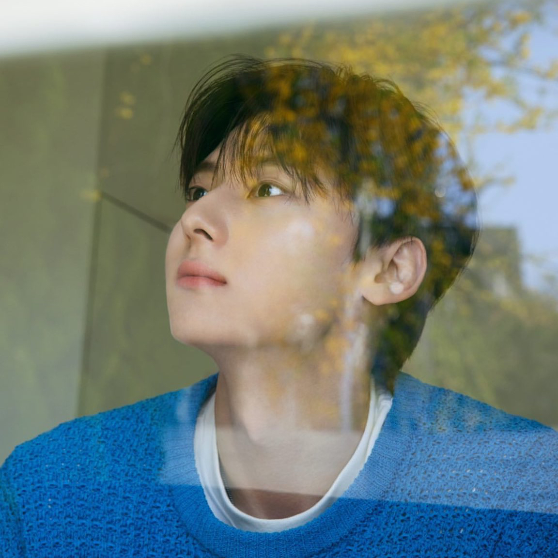 황민현 팬이 찍은 순간