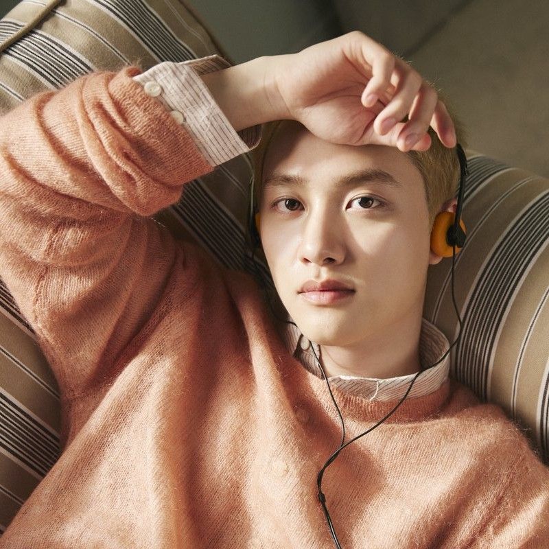 ディオ (EXO)ファンが撮った瞬間