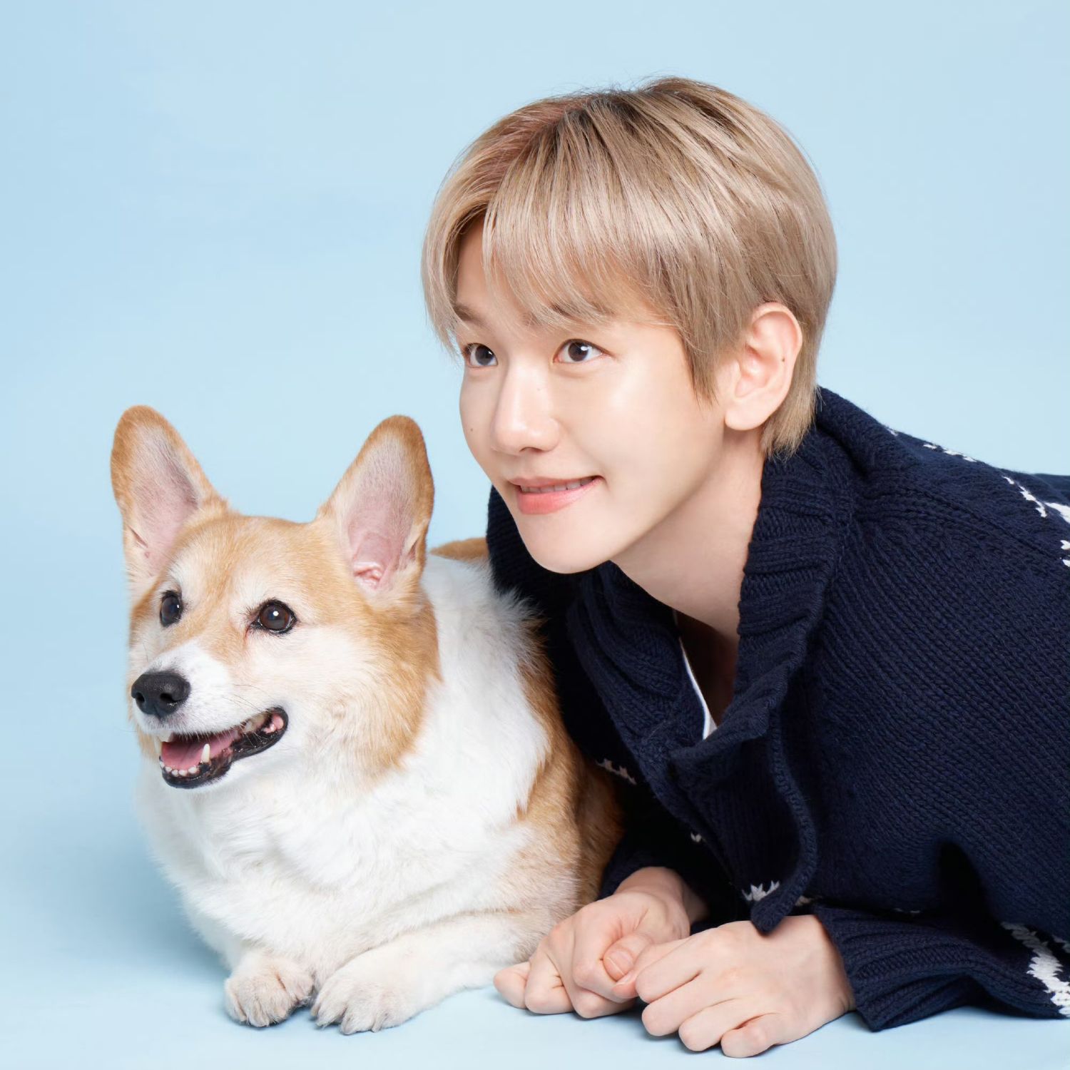 伯賢 (EXO)的最新活動照片