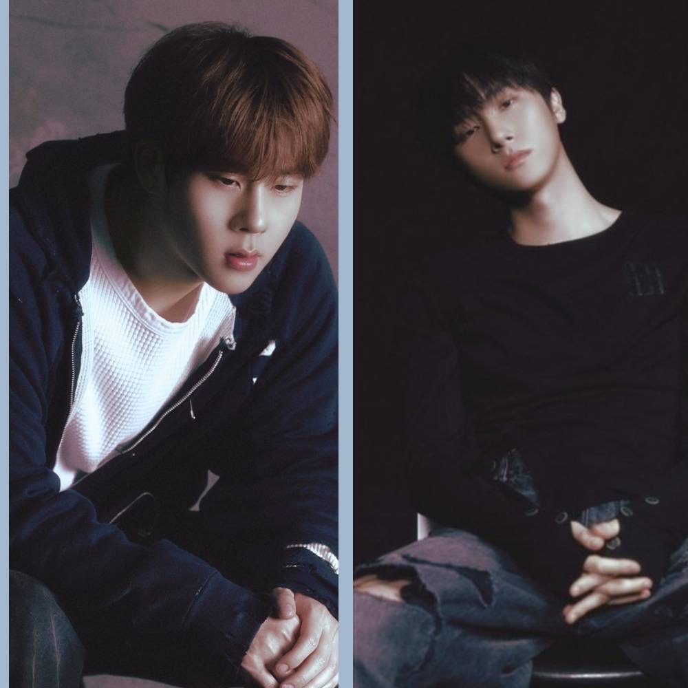 팬들이 사랑한 K-POP 인기 게시글