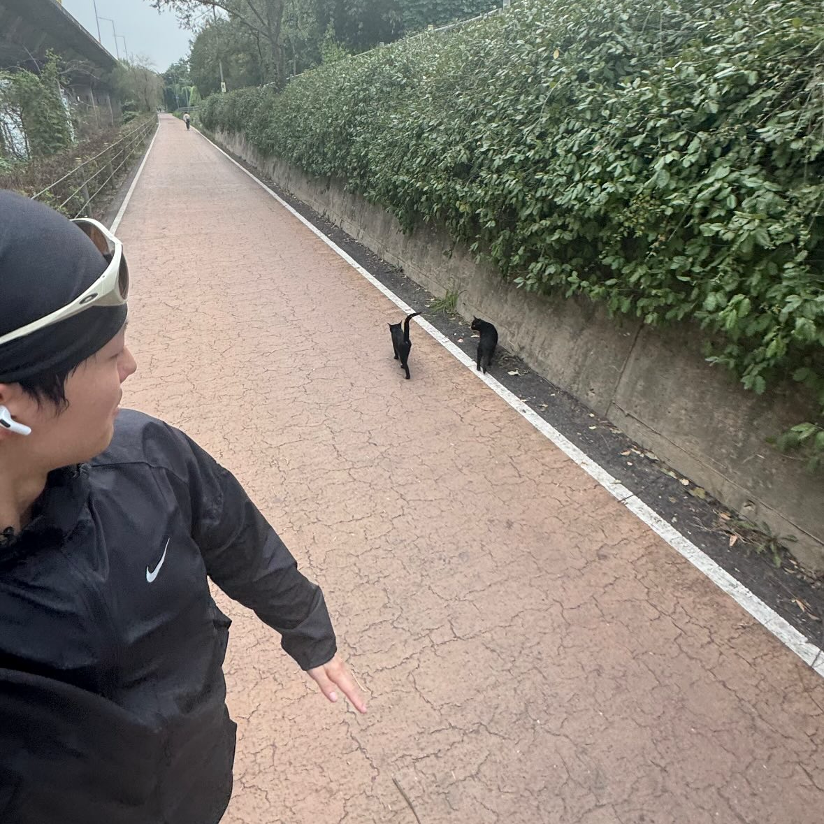 Latest photo of WOODZ