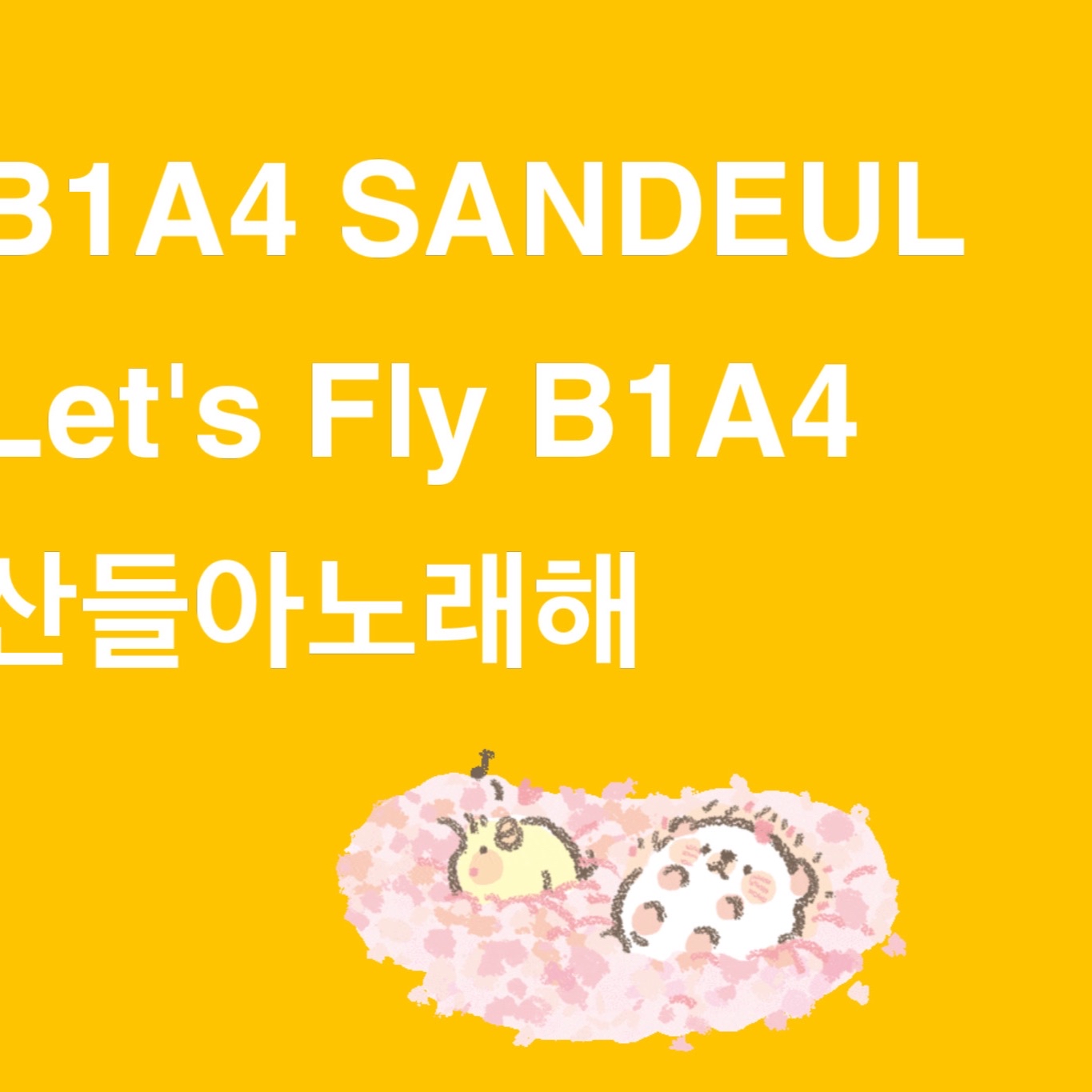 サンドゥル (B1A4)ファンが撮った瞬間