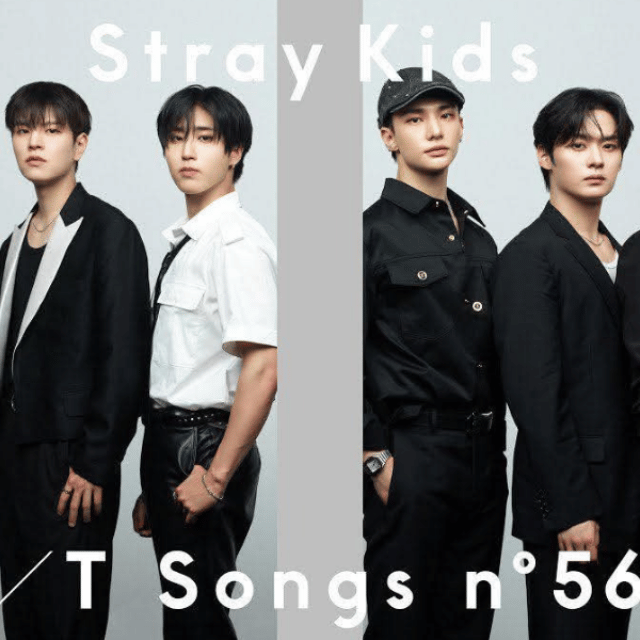 Stray Kids 최근 활동샷