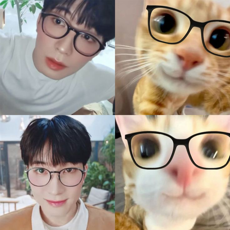 세븐틴의 비하인드 컷