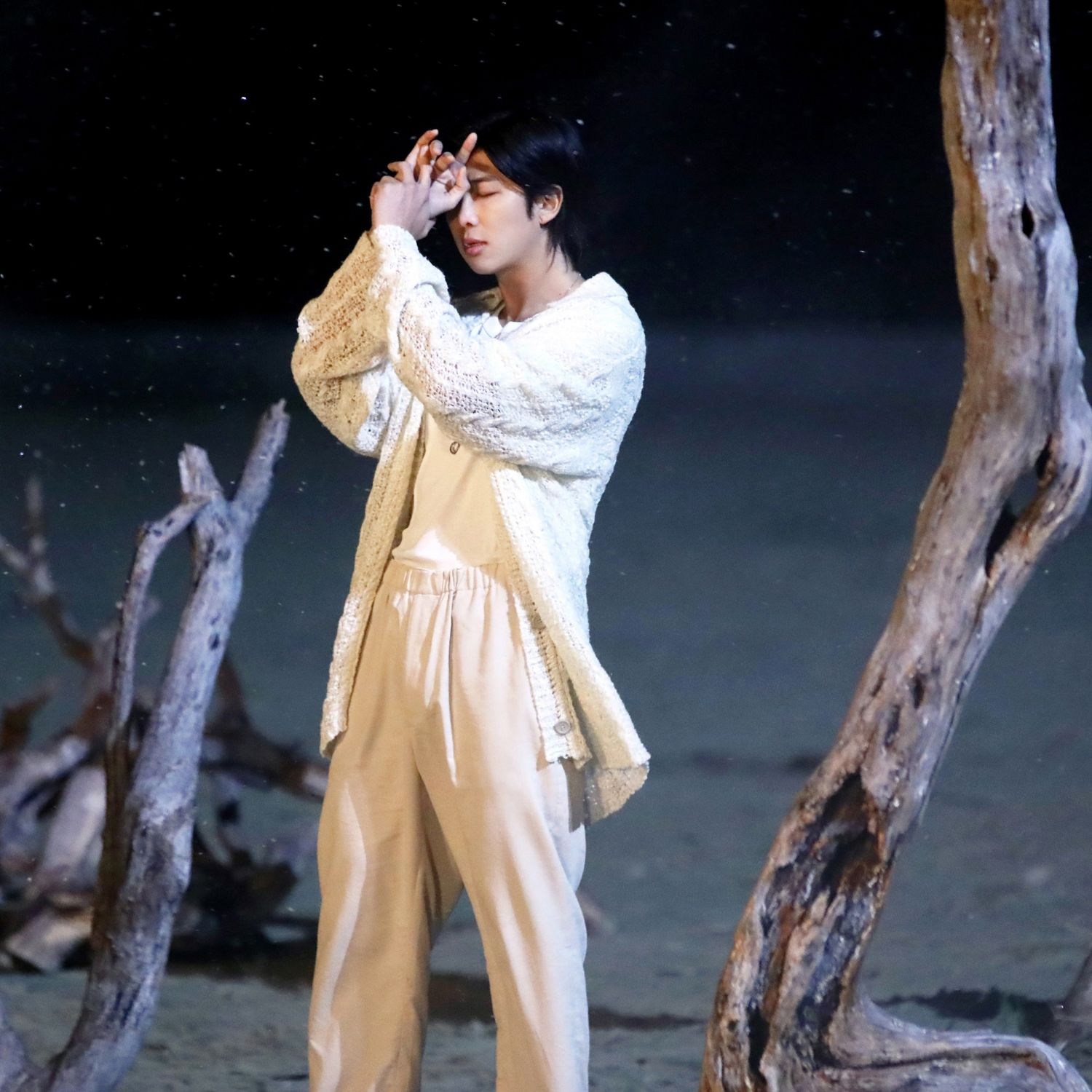 Recent activity shot of RM (BTS)