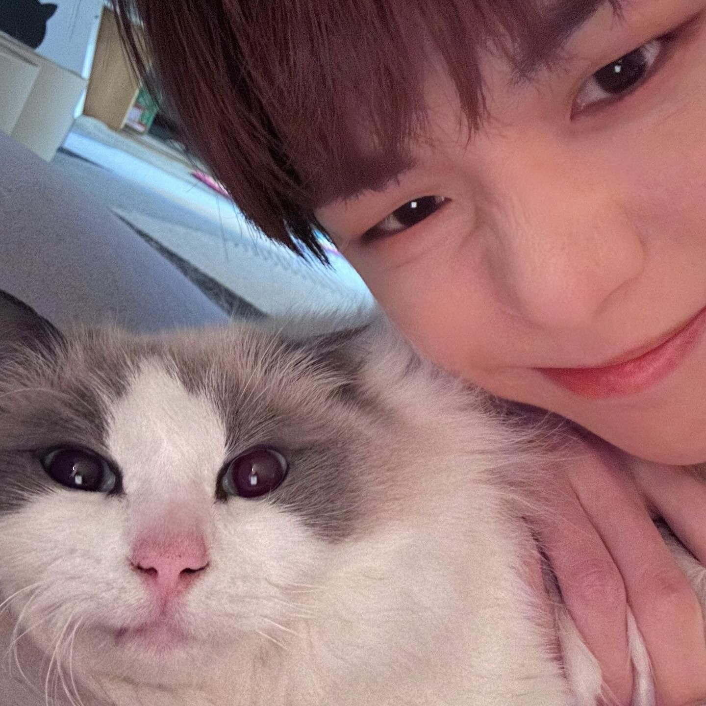 Recent activity shot of Kang Daniel