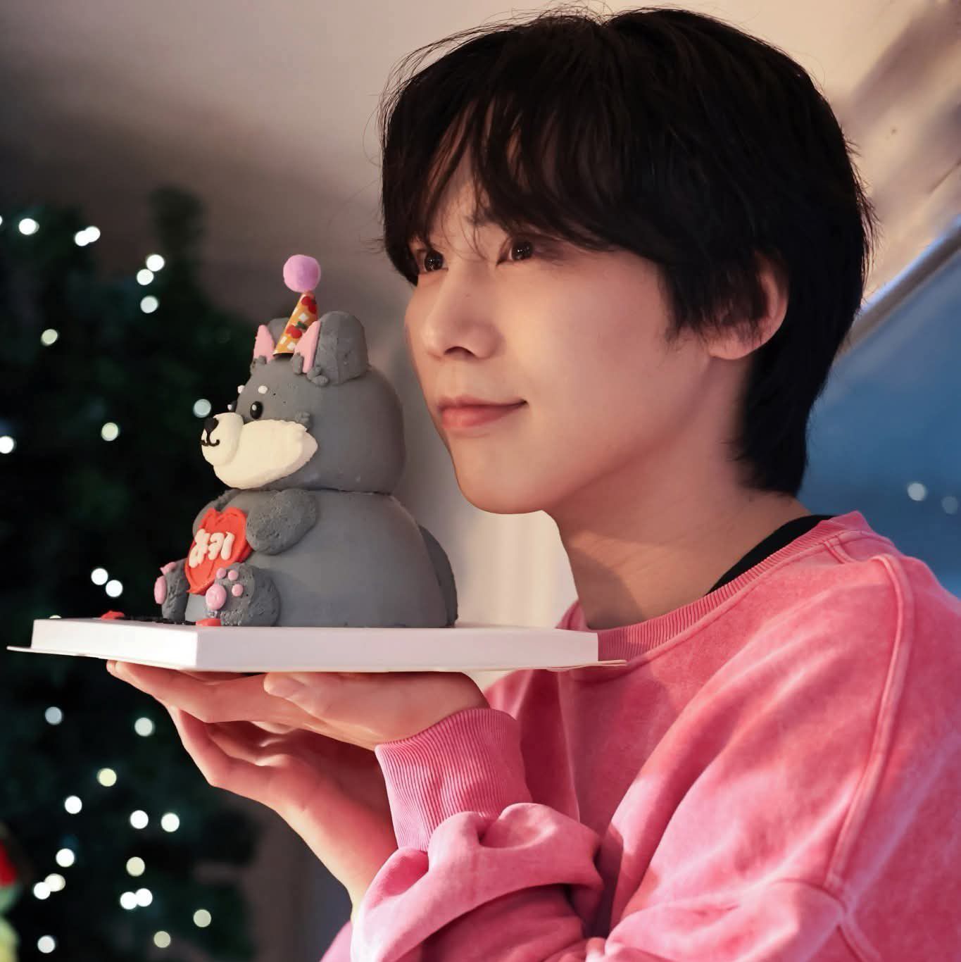 Latest photo of Rocky