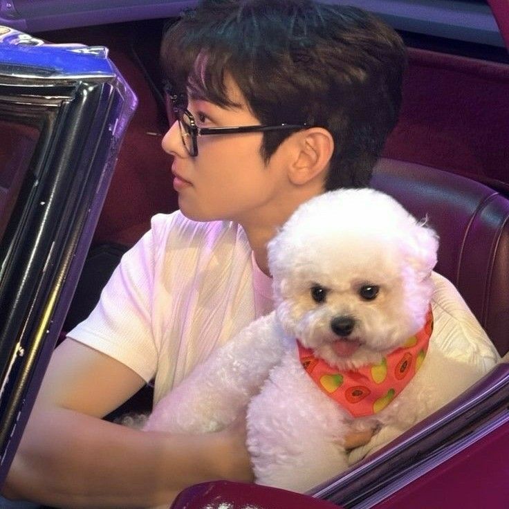 ASTRO粉絲拍下的瞬間