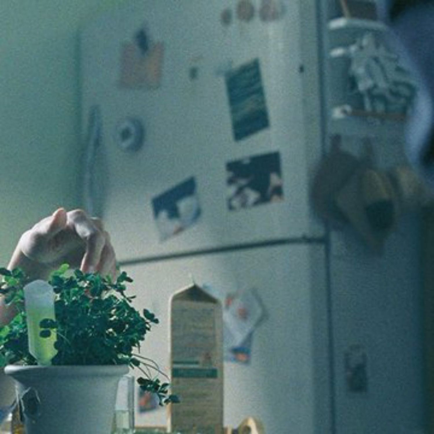 Behind-the-scenes cut of Doyoung (NCT 127)