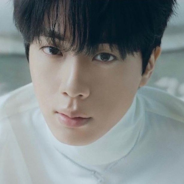 진 (방탄소년단) 팬이 찍은 순간