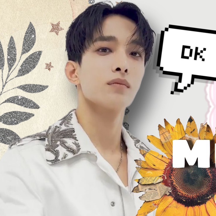 A moment captured by DK (SEVENTEEN)'s fan