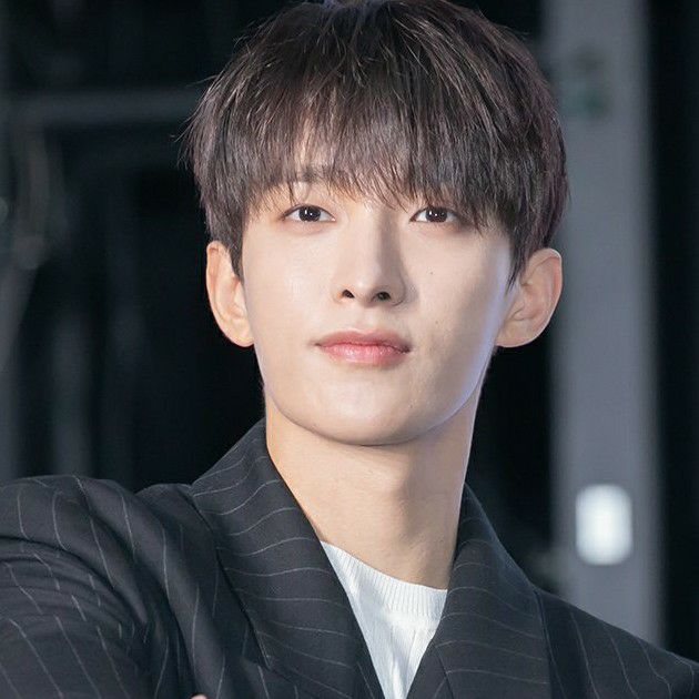 ドギョム (SEVENTEEN)ファンが撮った瞬間