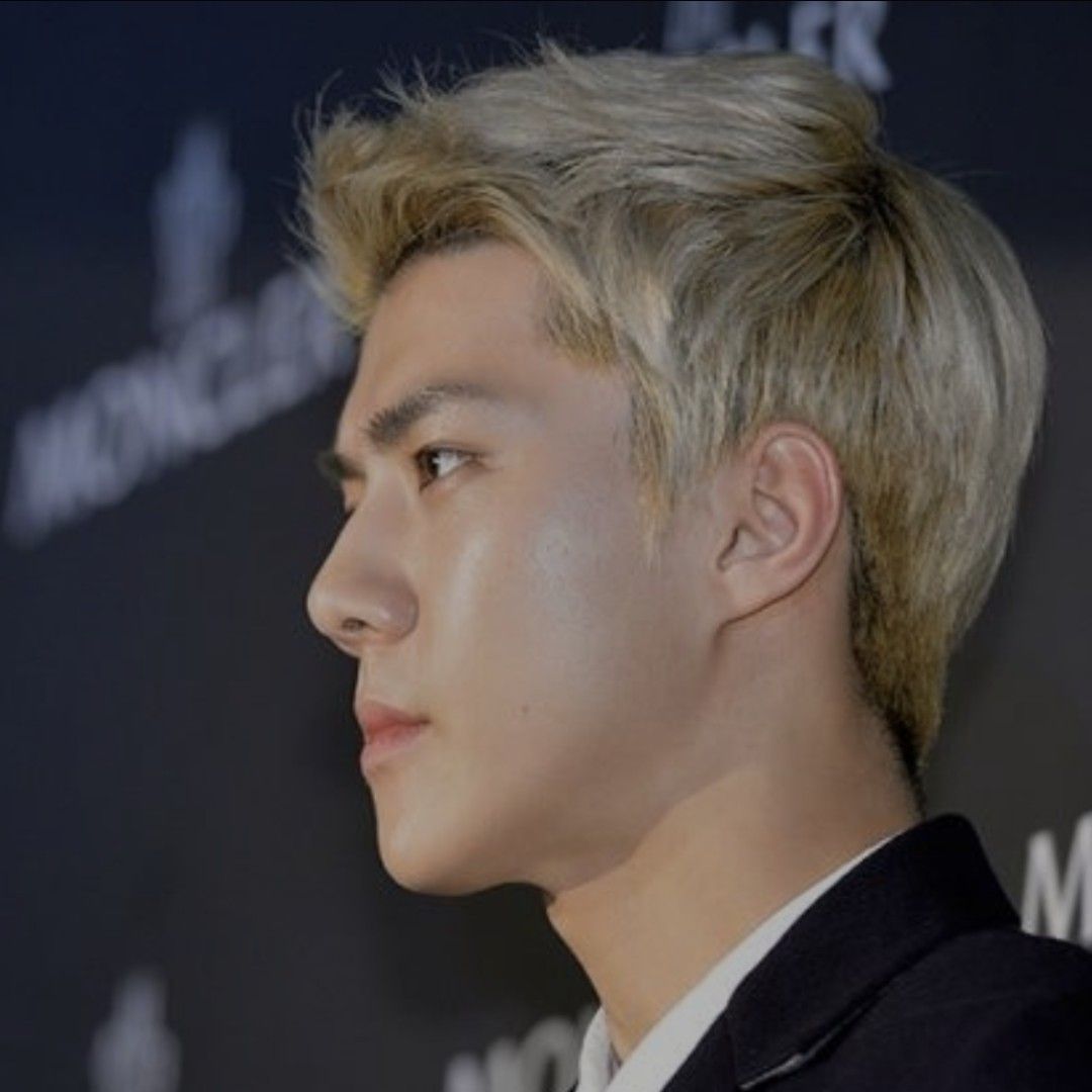 세훈 (EXO) 최근 활동샷