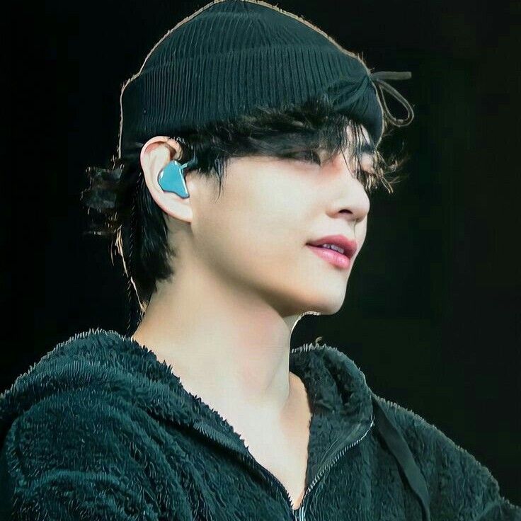 V (BTS)ファンが撮った瞬間