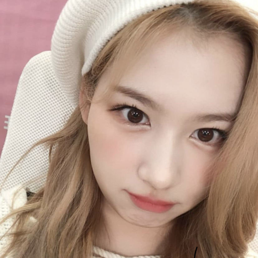 사나 (TWICE) 최근 활동샷