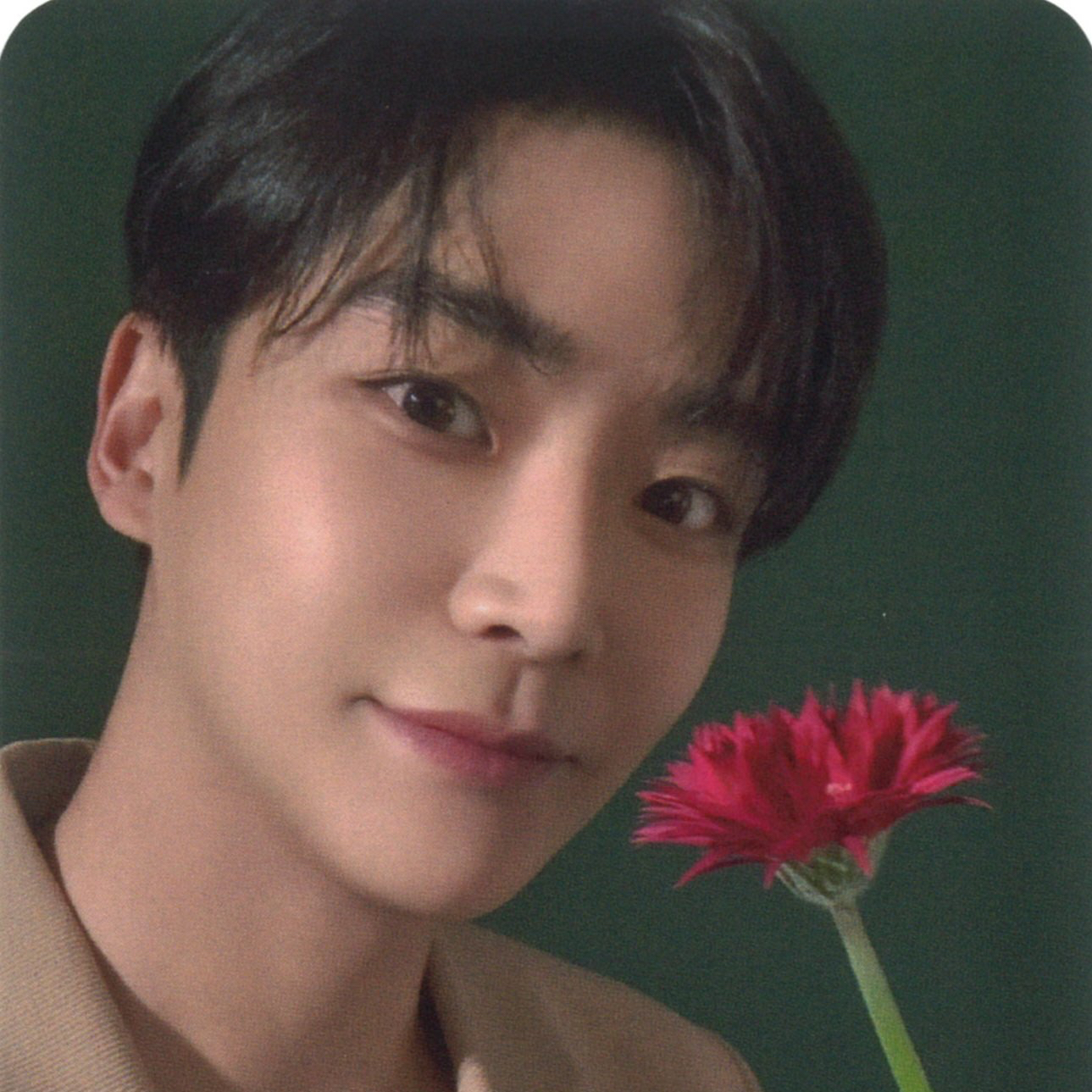 Recent activity shot of Rowoon