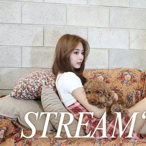 쯔위 (TWICE) 최근 활동샷