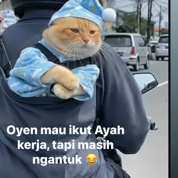 Latest photo of Mina (TWICE)