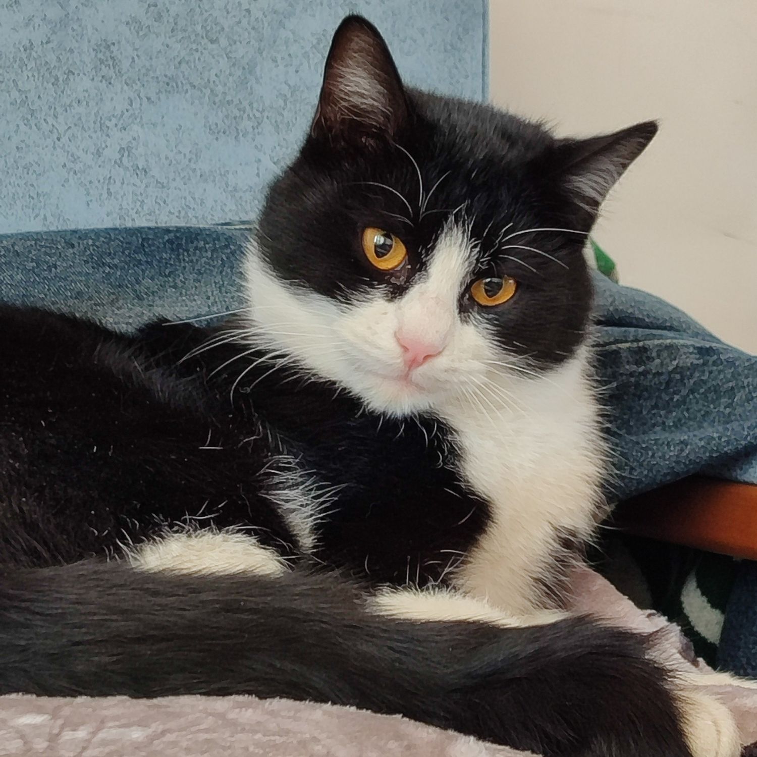 燦烈 (EXO)粉絲拍下的瞬間