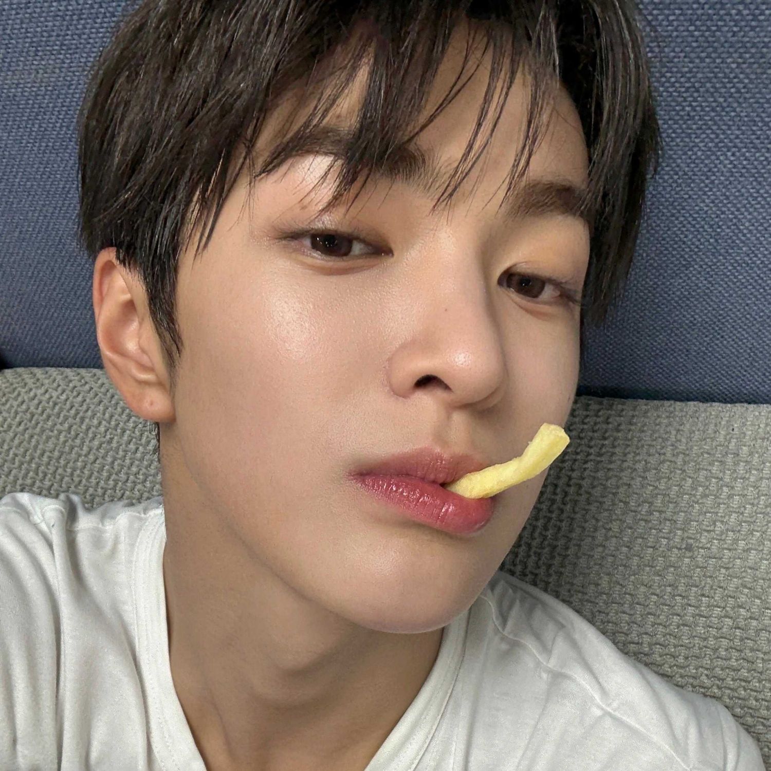 A moment captured by CORTIS's fan