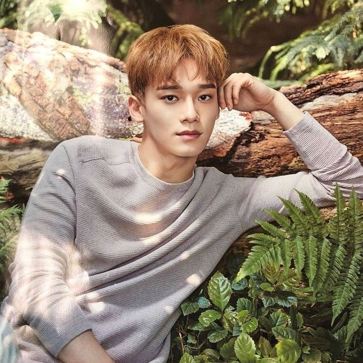 Behind-the-scenes cut of Chen (EXO)