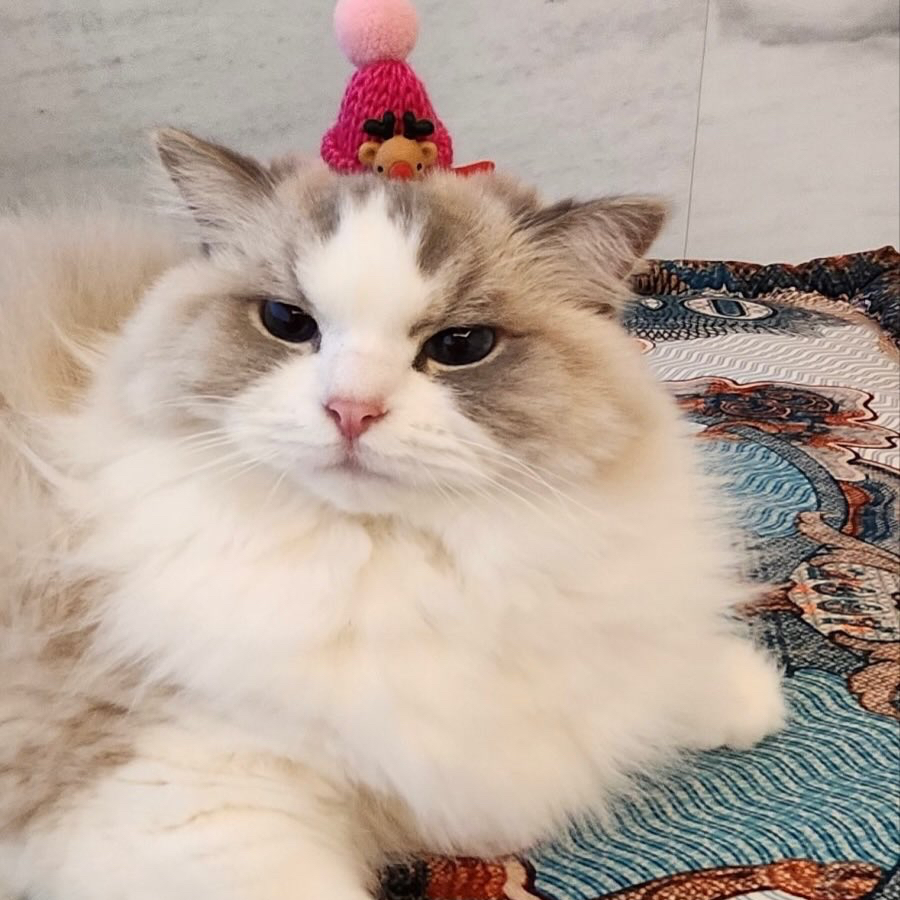 A moment captured by Jaemin (NCT DREAM)'s fan