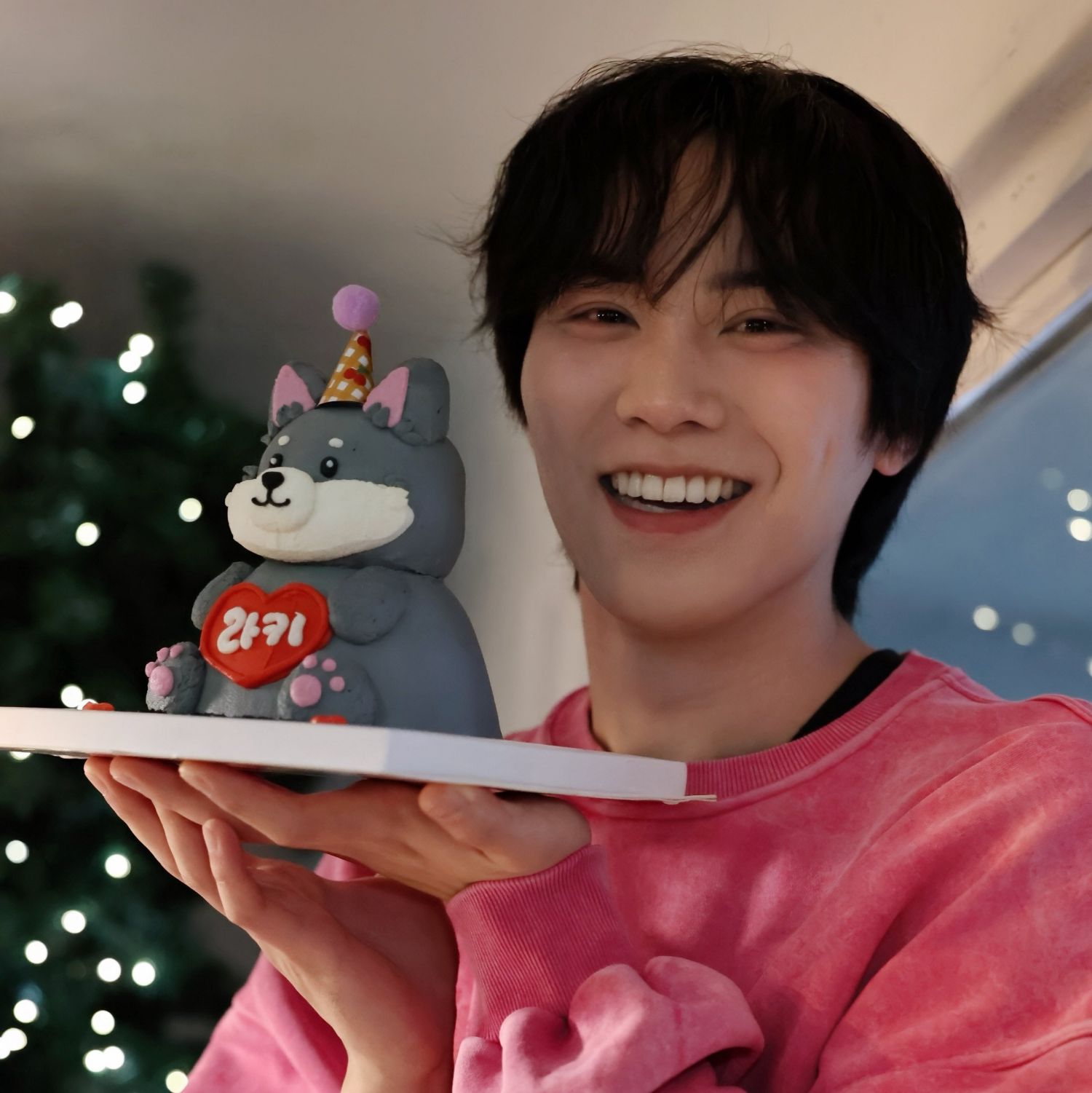 Latest photo of Rocky