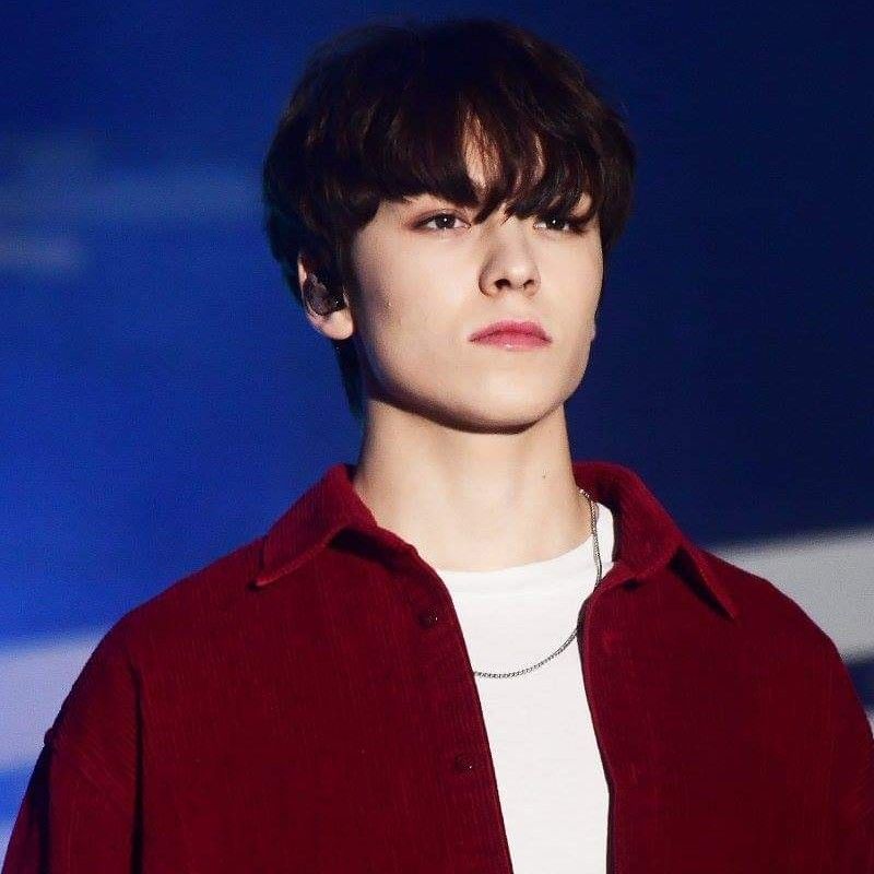 A moment captured by Vernon (SEVENTEEN)'s fan