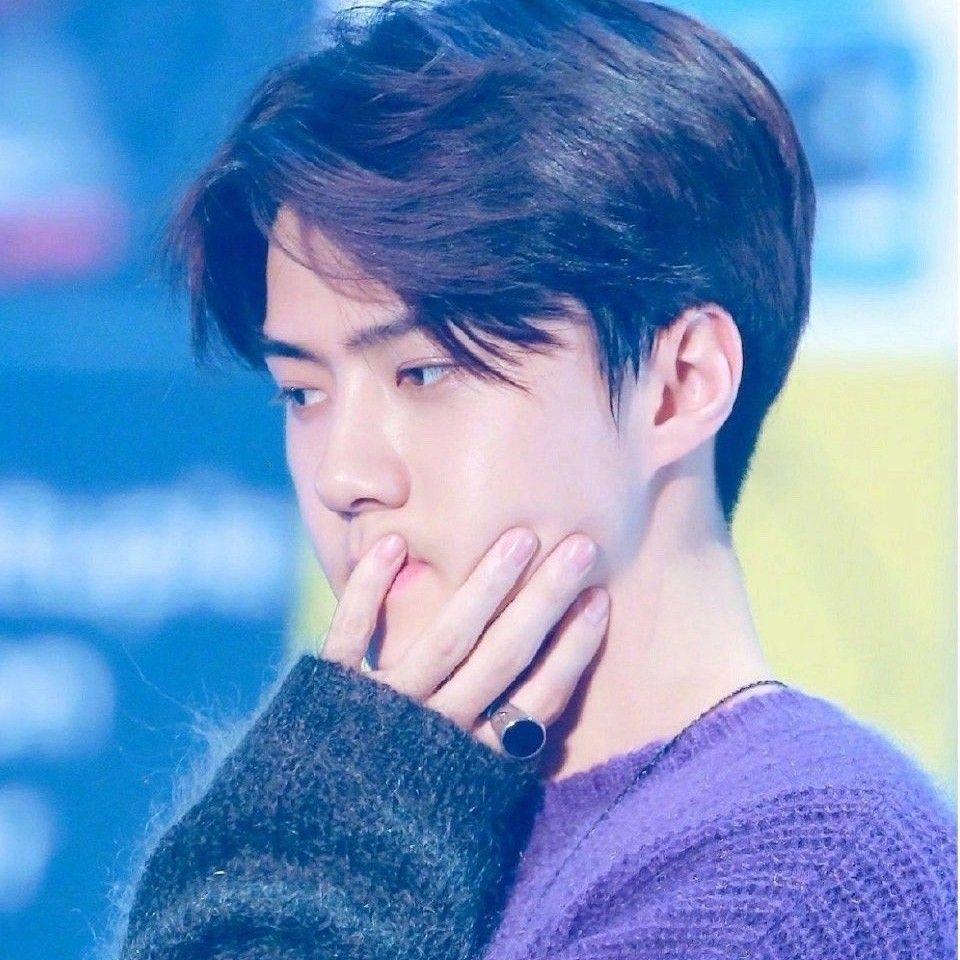 세훈 (EXO) 최근 활동샷